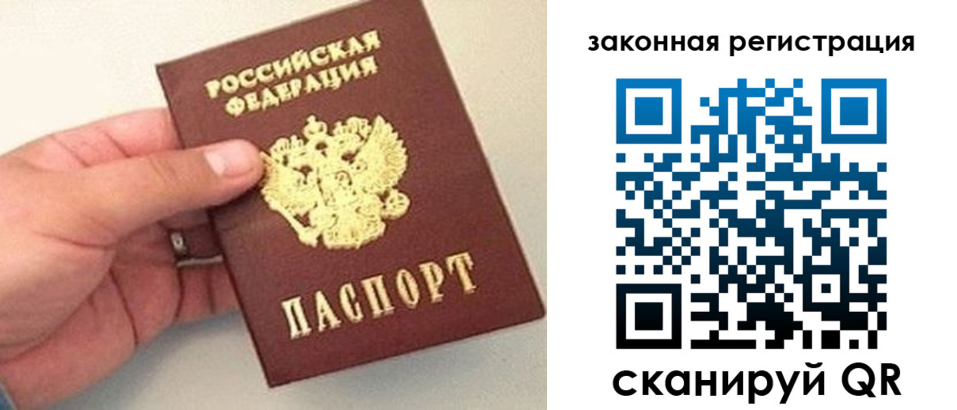 прописка для школы в Волоколамске